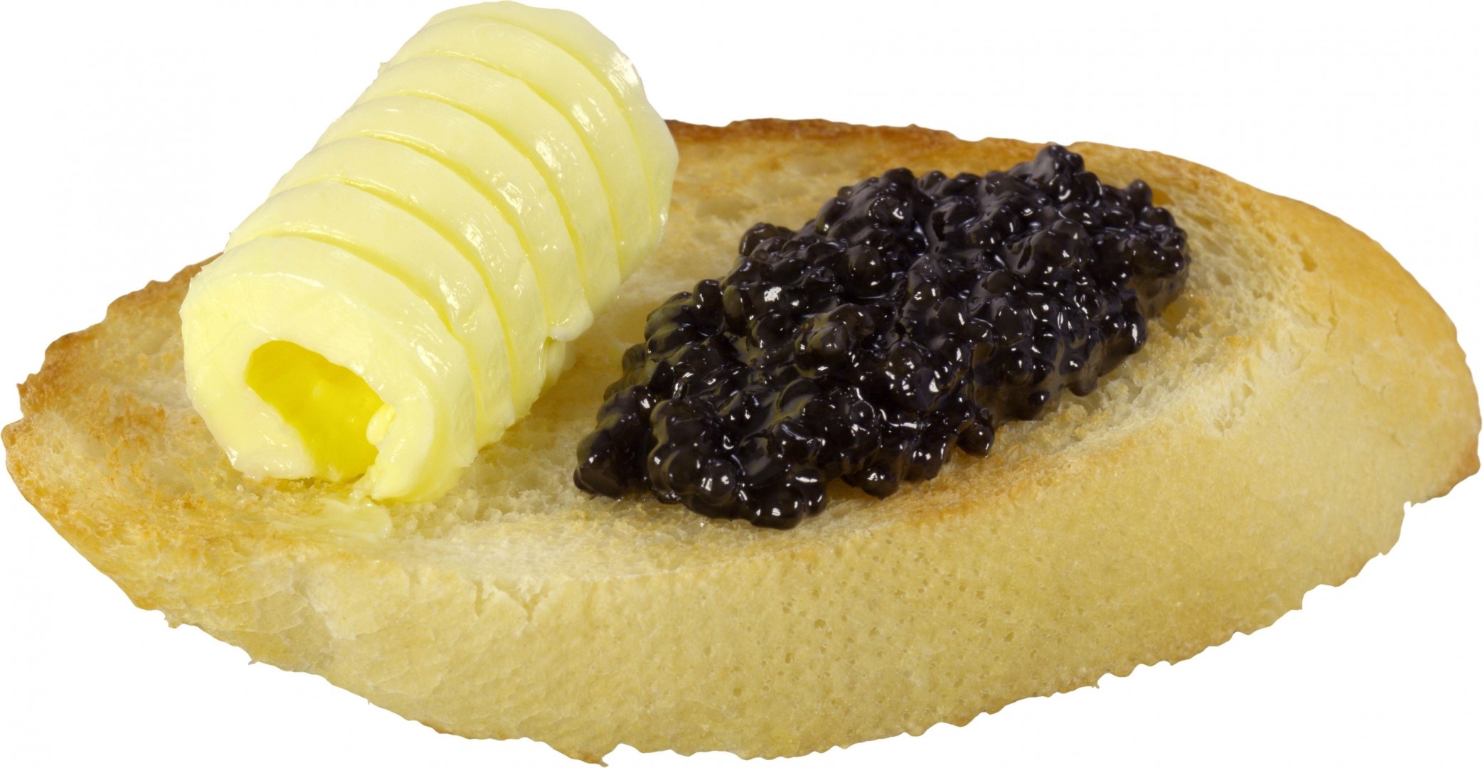 white background oil caviar bread