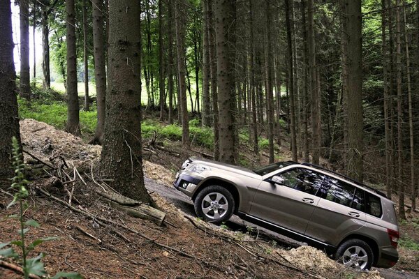 SUV dans la forêt Monte la montagne