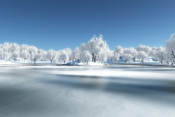 Winter forest in the snow on the river