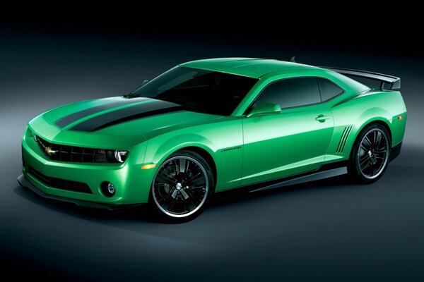 Green Chevrolet Camaro car