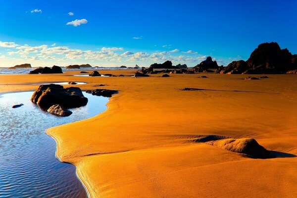 Paysage de côte de pierre de sable