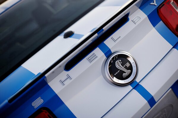 Insignia Mustang con forma de serpiente en el Maletero