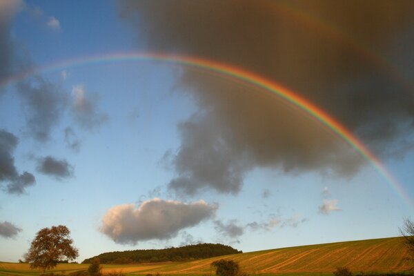 Ein Regenbogen am blauen Himmel mit grauen Wolken stand über einem Herbstfeld und Bäumen