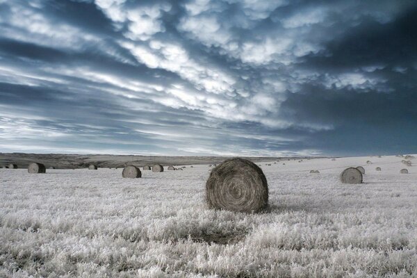 Bales on the field aesthetics of blue