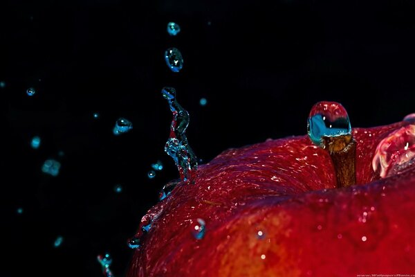 A full apple with drops of water on a black background