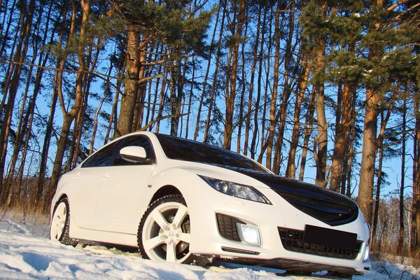 Mid-size Japanese car in the woods