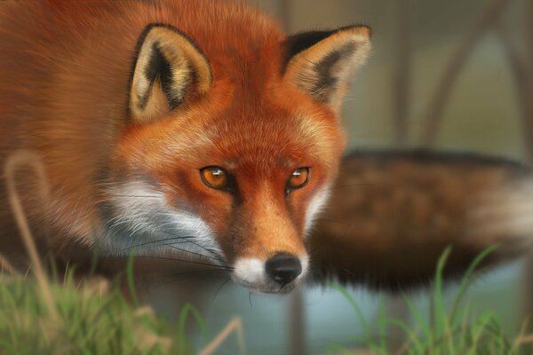 The fox looks at the painting with contempt