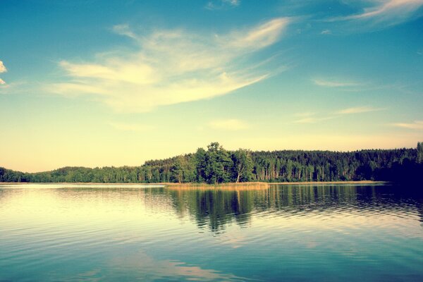 Summer photo of the lake and the green shore