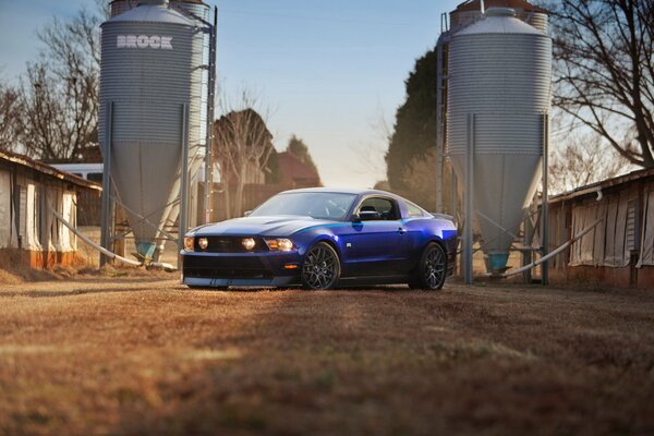 Stylowy obraz fioletowego Forda Mustanga