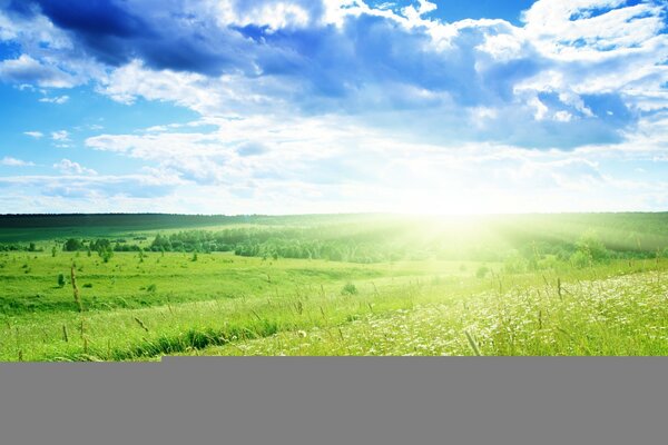 Paisaje de verano con campo y nubes