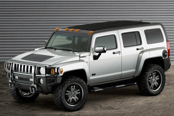 Hummer frais de couleur argentée