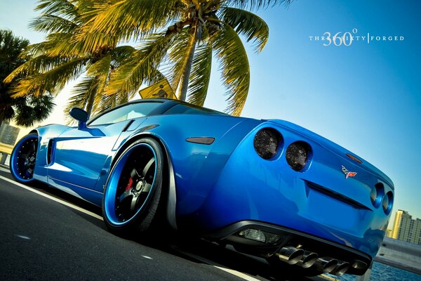 Niebieski samochód sportowy pod palmą