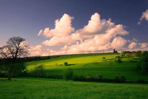 Leuchtend grüne Wiese mit Wolken am Himmel