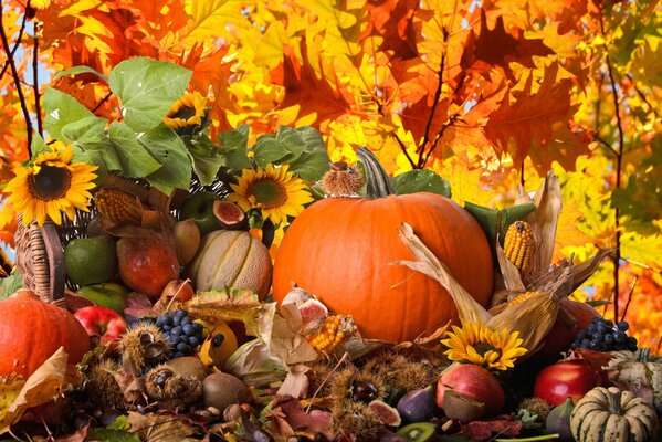Imagen colorida de los regalos del otoño