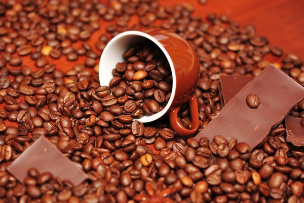 Coffee beans. Delicious chocolate