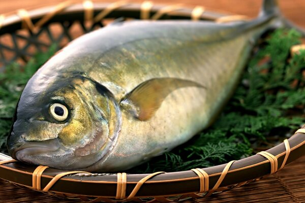 Fisch auf grünen Kräuterblättern