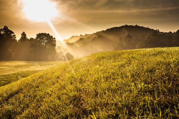 Die Sonne scheint auf die Hügel und das Gras