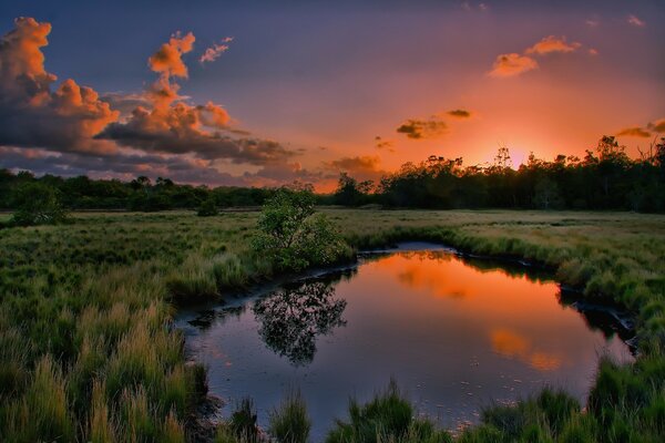 Sunset over a green field and lake