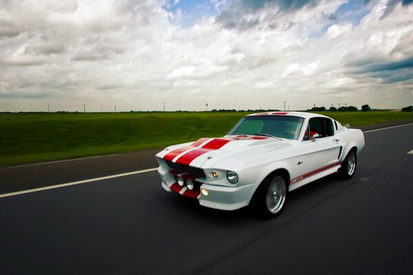 Ein Shelby-Mustang, der die Straße entlang der Felder entlang fährt