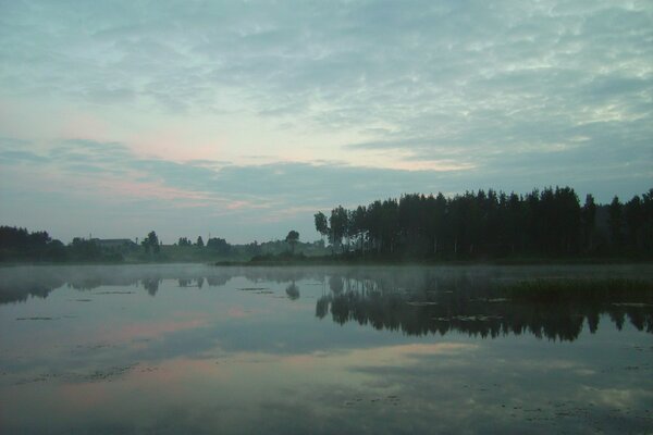 Fog over the lake among the trees