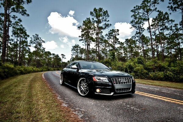 Hermoso audi negro en la naturaleza