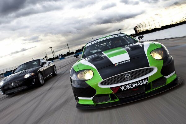 Racing jaguar on the track in motion