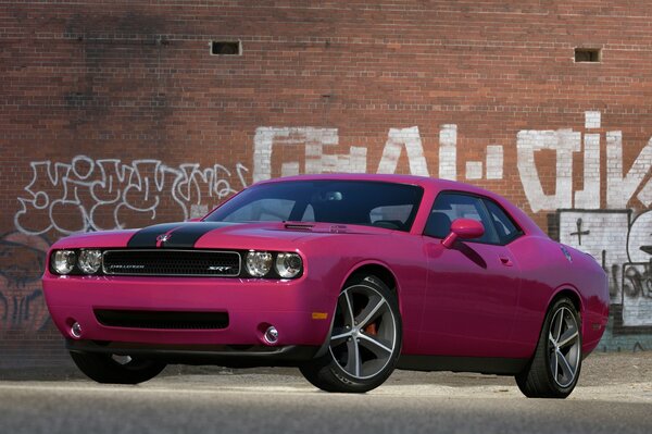 Pink car at the graffiti wall