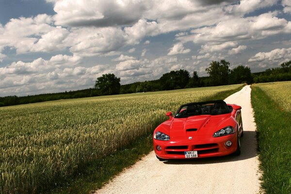 A red car is driving across the field