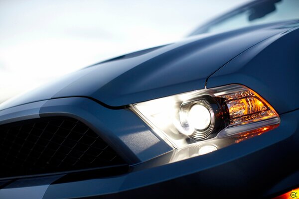 Vue de phare de Shelby Mustang près