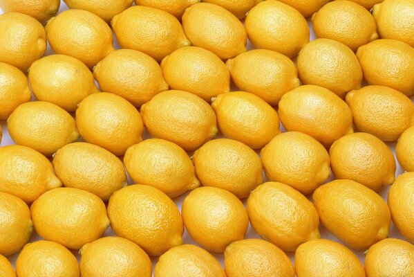 Fondo de limones amarillos