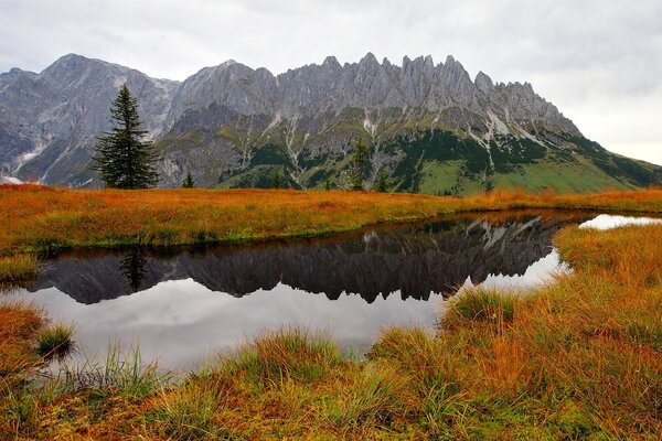 Paysage de montagne nature automnale