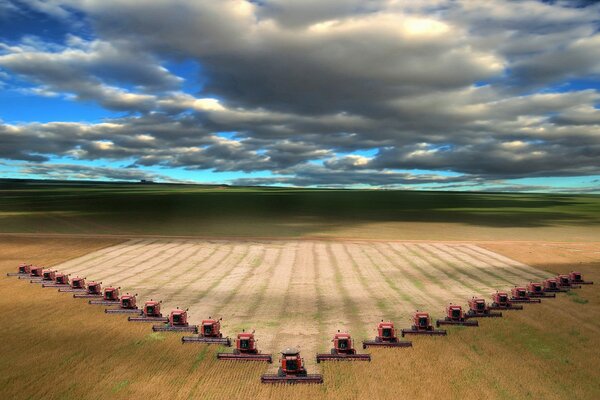 Schönes Feld mit Mähdreschern am Horizont