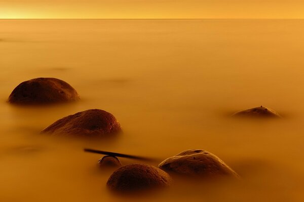 A rocky shore in a yellow fog at dawn