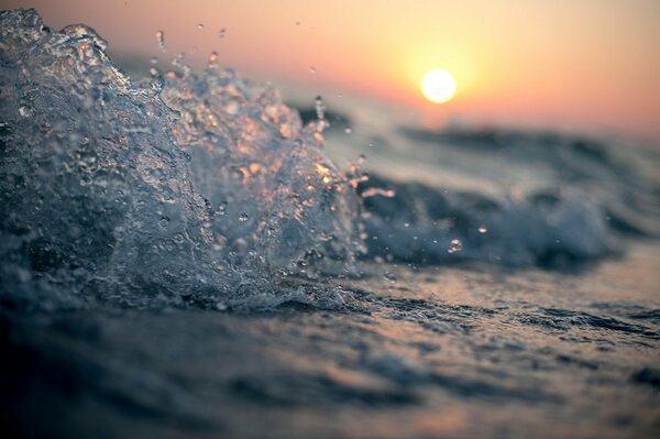 Ein Spritzer Wasser in Makroaufnahmen vor dem Hintergrund eines sonnigen Sonnenuntergangs