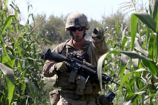 A soldier with a machine gun in a cornfield