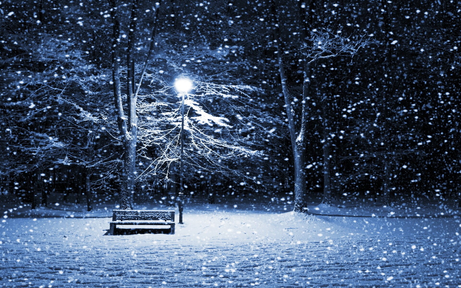 piazza panchina lanterna nevicata romanticismo tempesta di neve