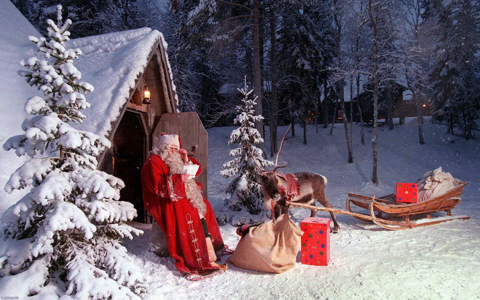 cerf noël hiver père noël nouvel an