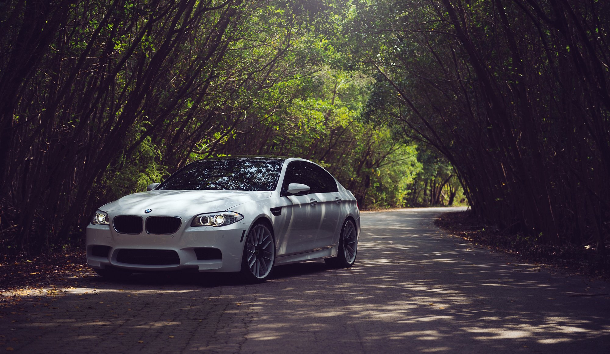 bmw f10 m5 bianco bmw strada