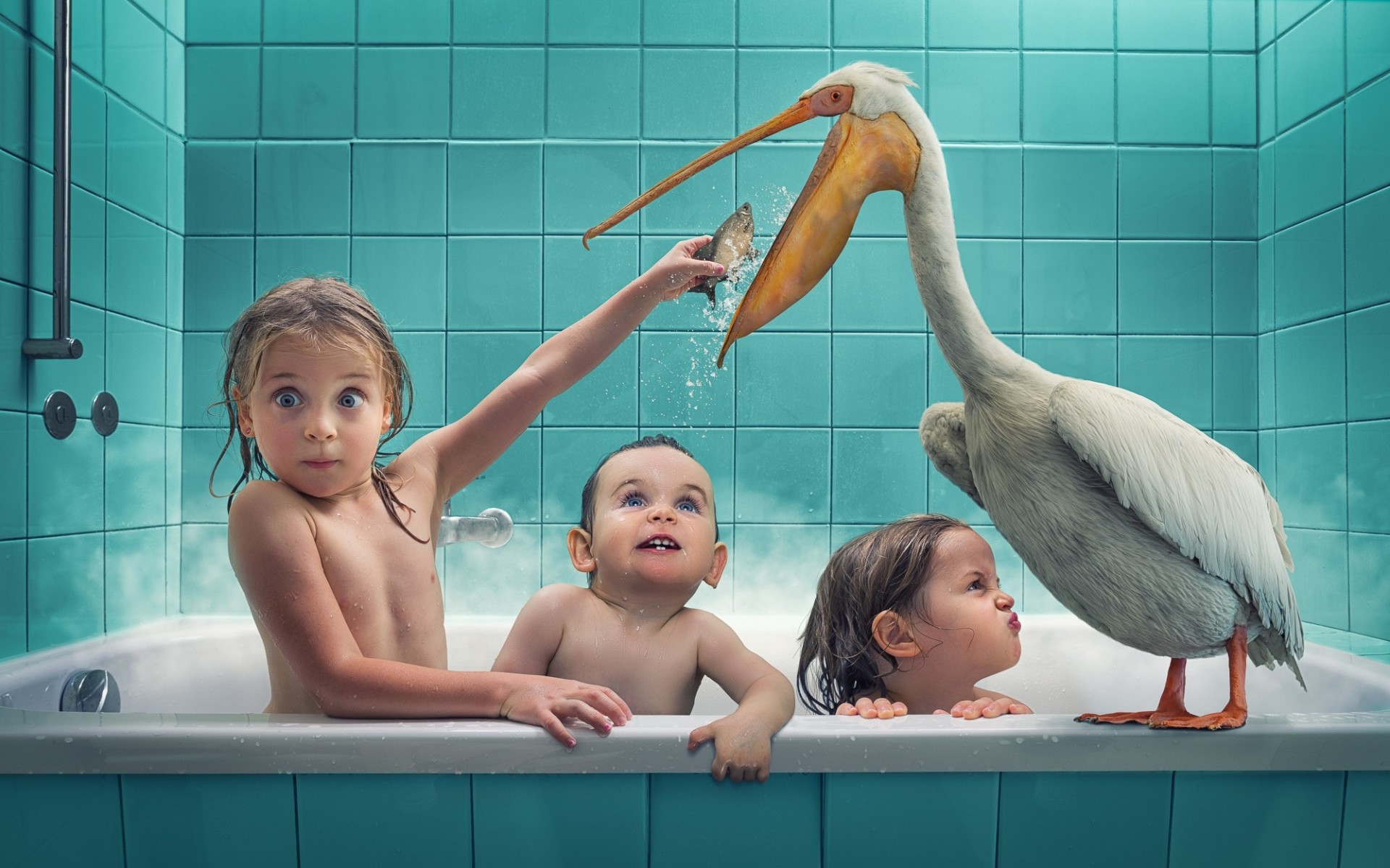 pelícano niño niños aves baño baño situación pescado chica