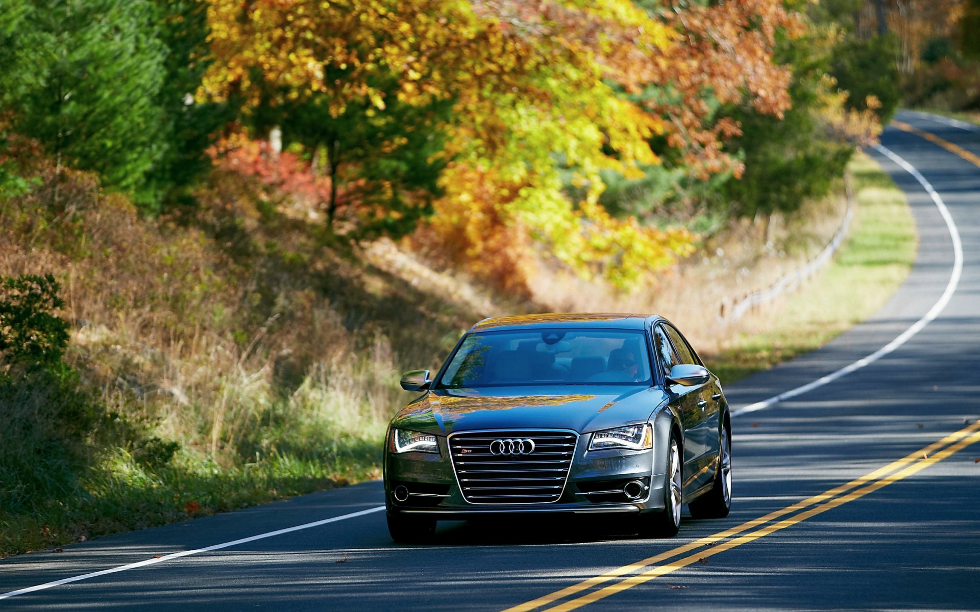 audi s8 auto limousine front straße bäume straße