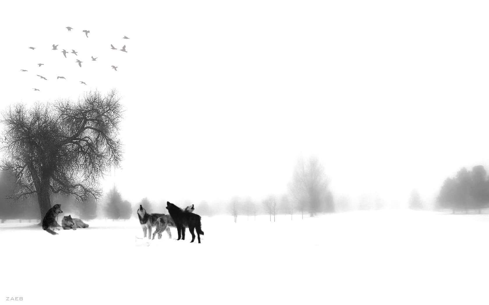 oiseaux hiver loups troupeau couche blanc