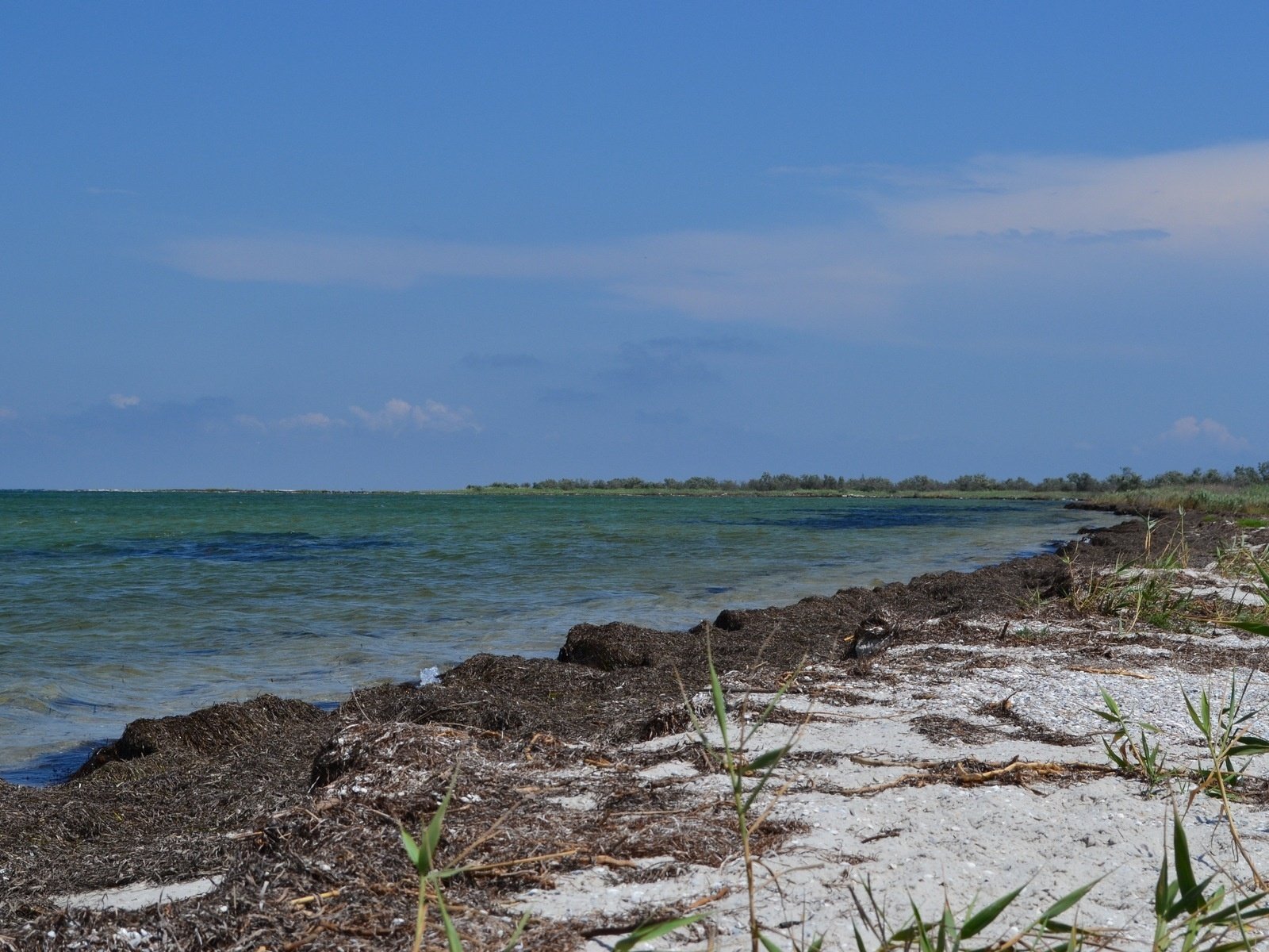 nature mer bord de mer