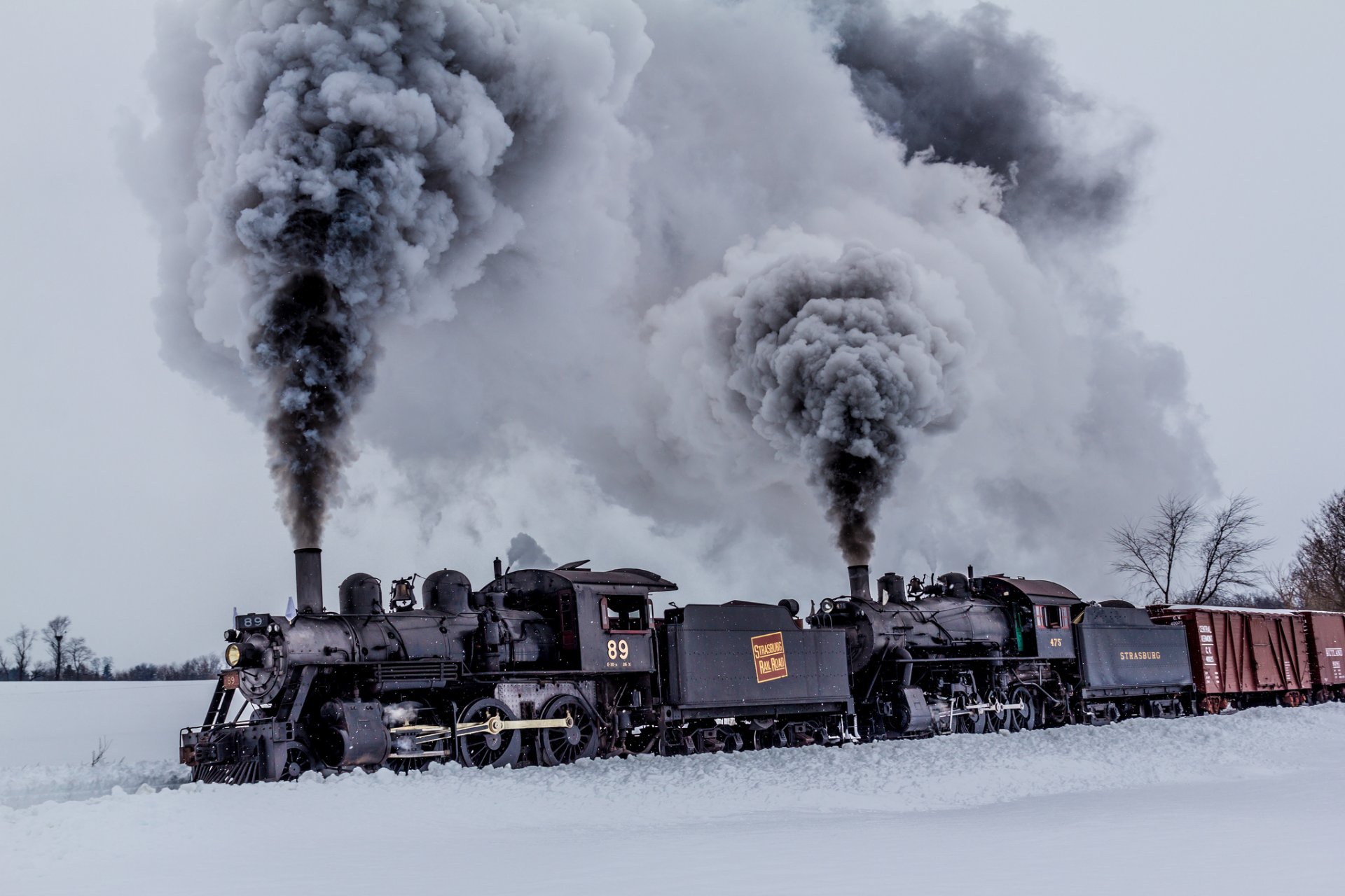 treni locomotive a vapore fumo carri natura inverno