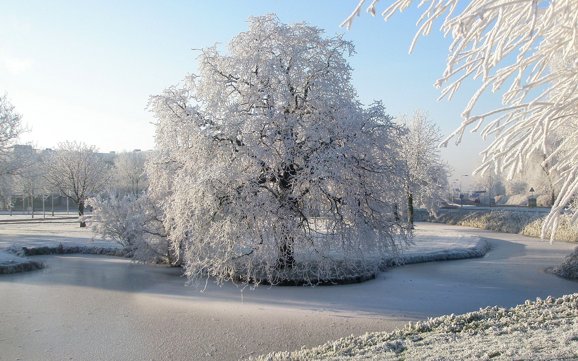 nature givre rivière arbres hiver parc neige