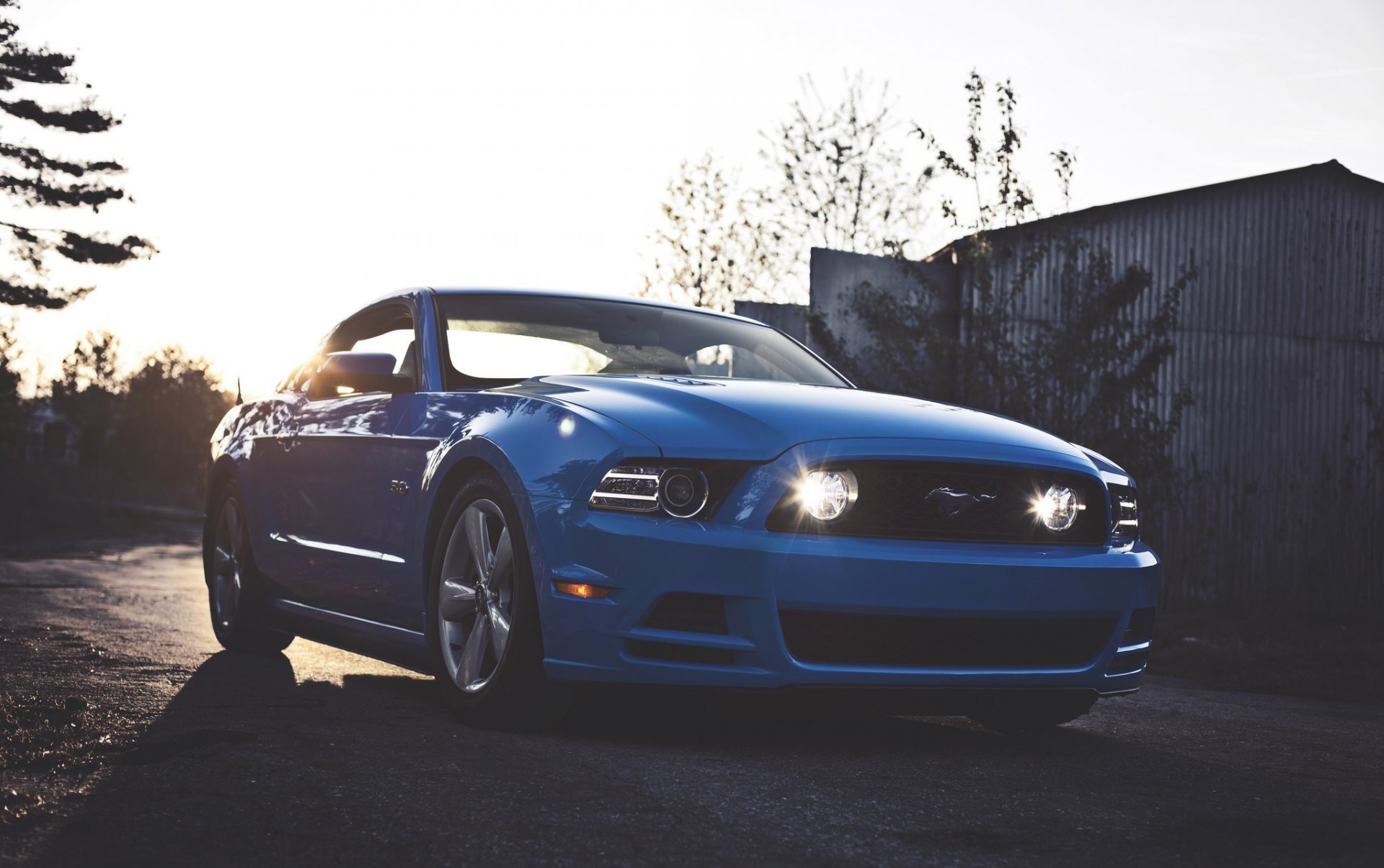 ford mustang gt 5.0 azul músculo coche