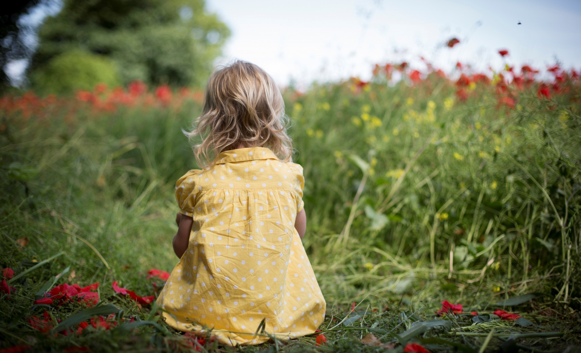 babes grass mood children nature background child flower wallpaper green dress the field colors . flowers girl