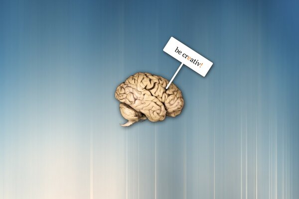 Illustrazione del cervello con placca su sfondo blu