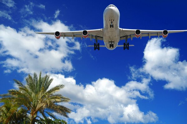 Avión volando en el fondo de un hermoso cielo