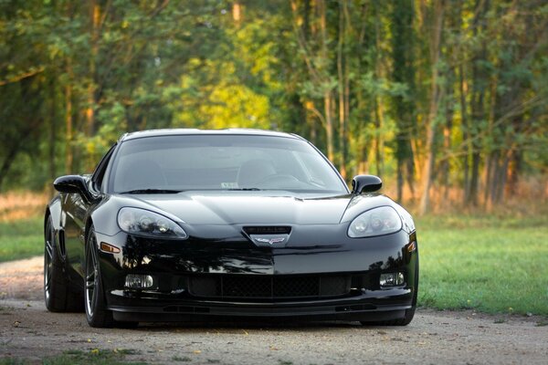 Die Maschine ist ein Chevrolet Corvette unter grünen Bäumen auf der Straße