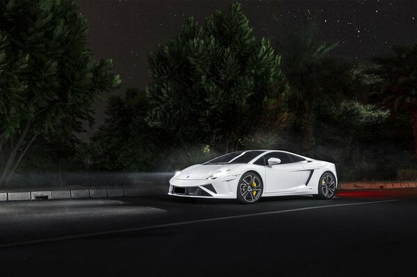 White Gallardo rushes along the night highway past the forest